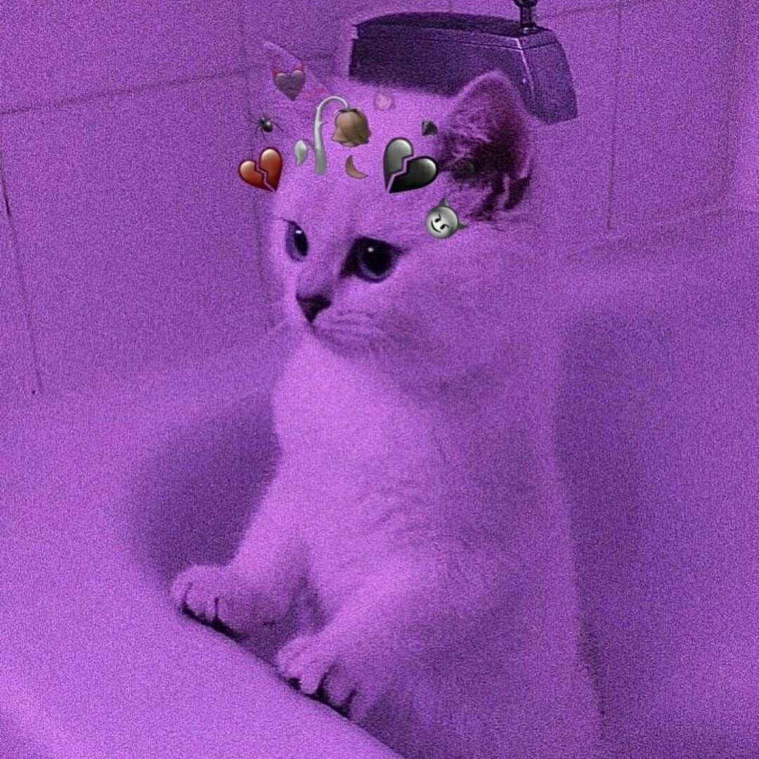 Фиолетовая Эстетика котик