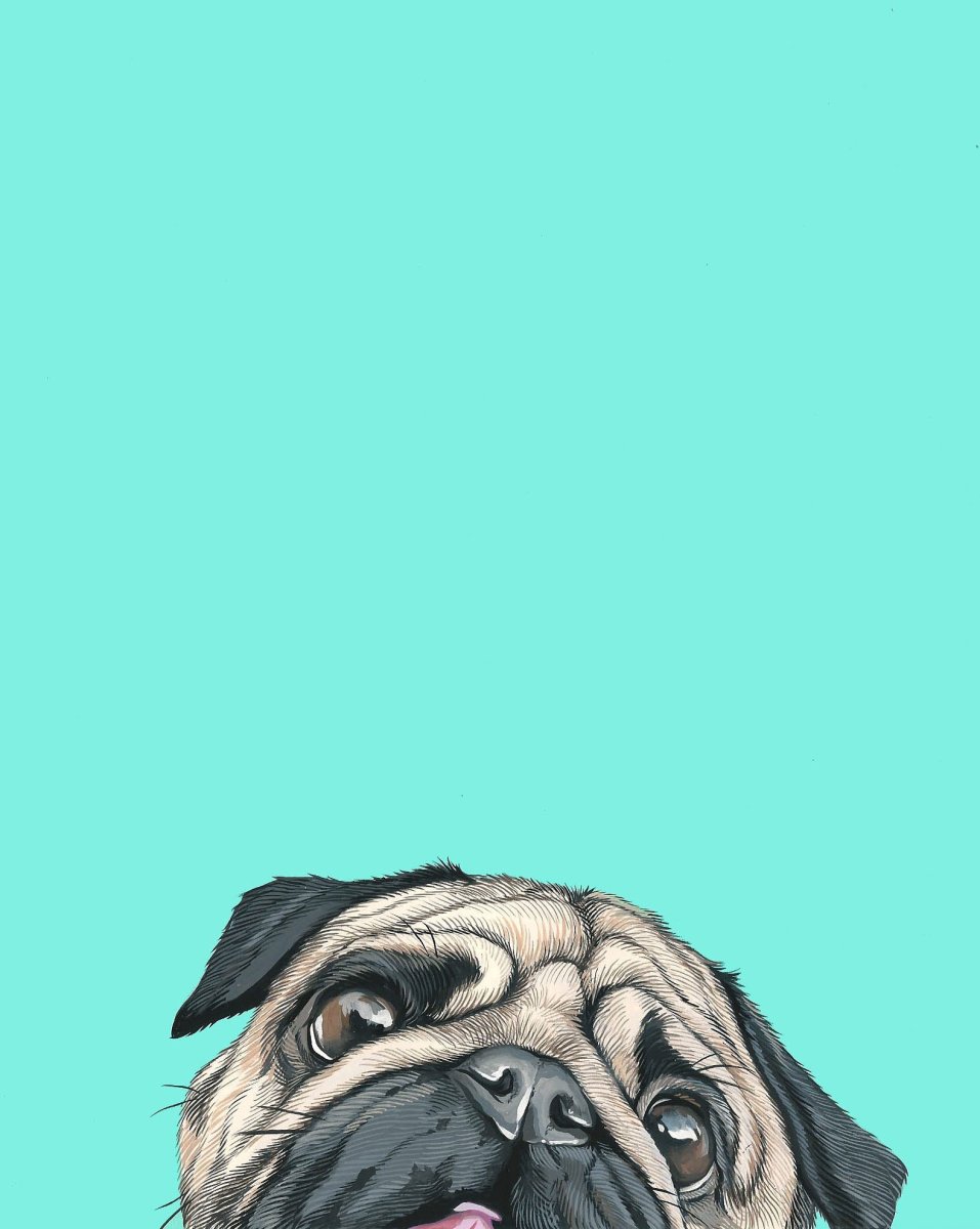 Мопс Минимализм