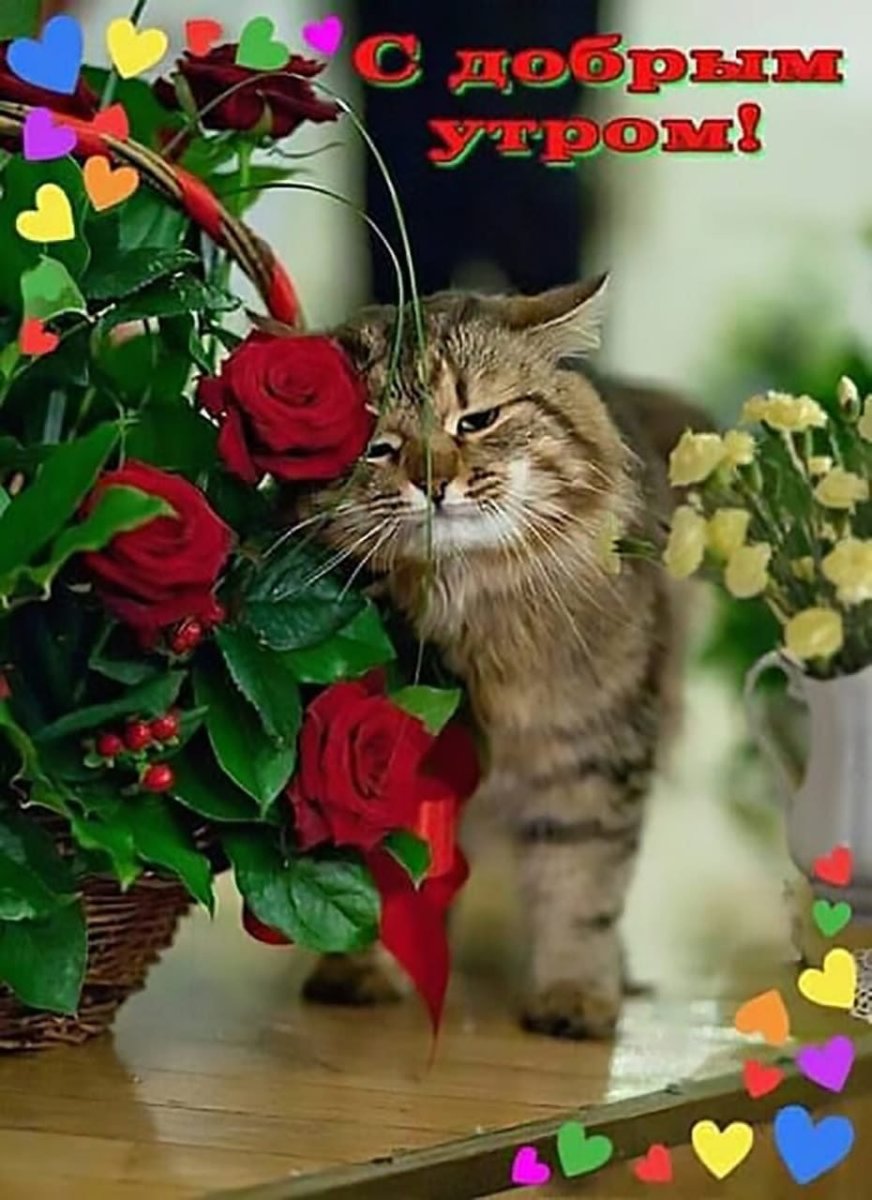 Котенок с цветами