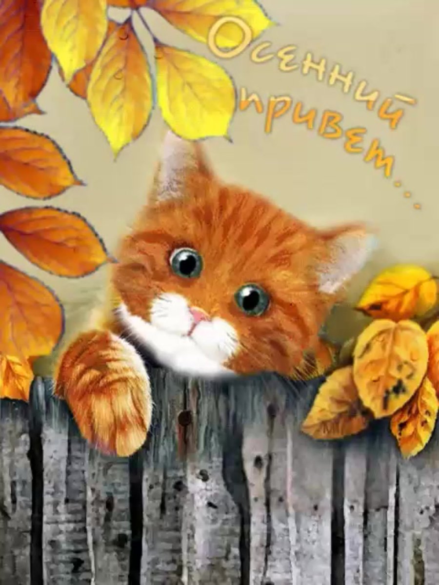 Осенний привет