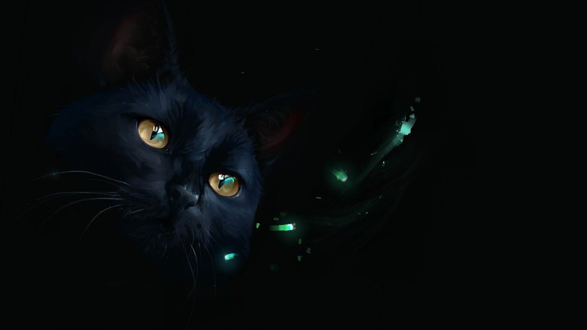 Черная кошка