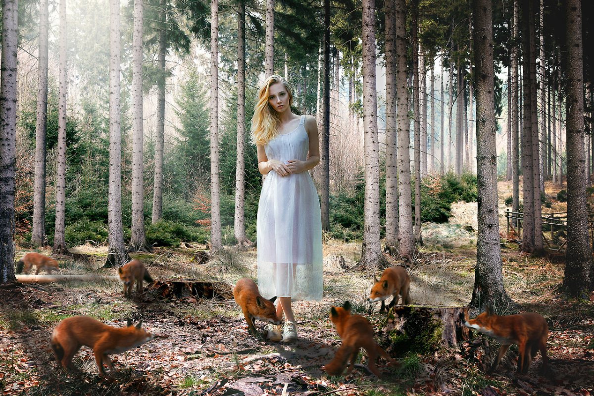 Девушка и лиса
