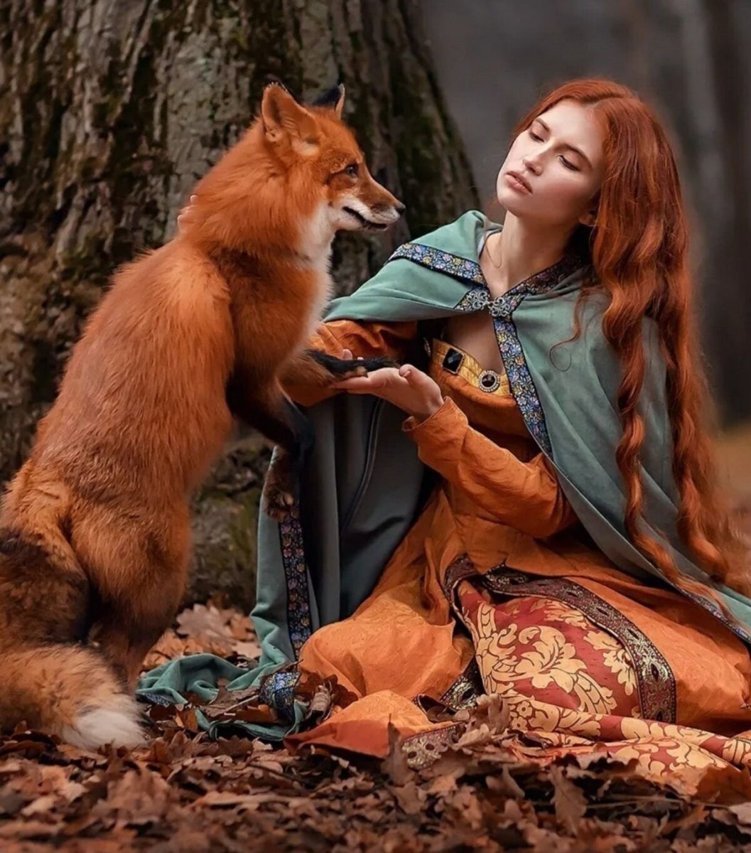 Рыжая волчица