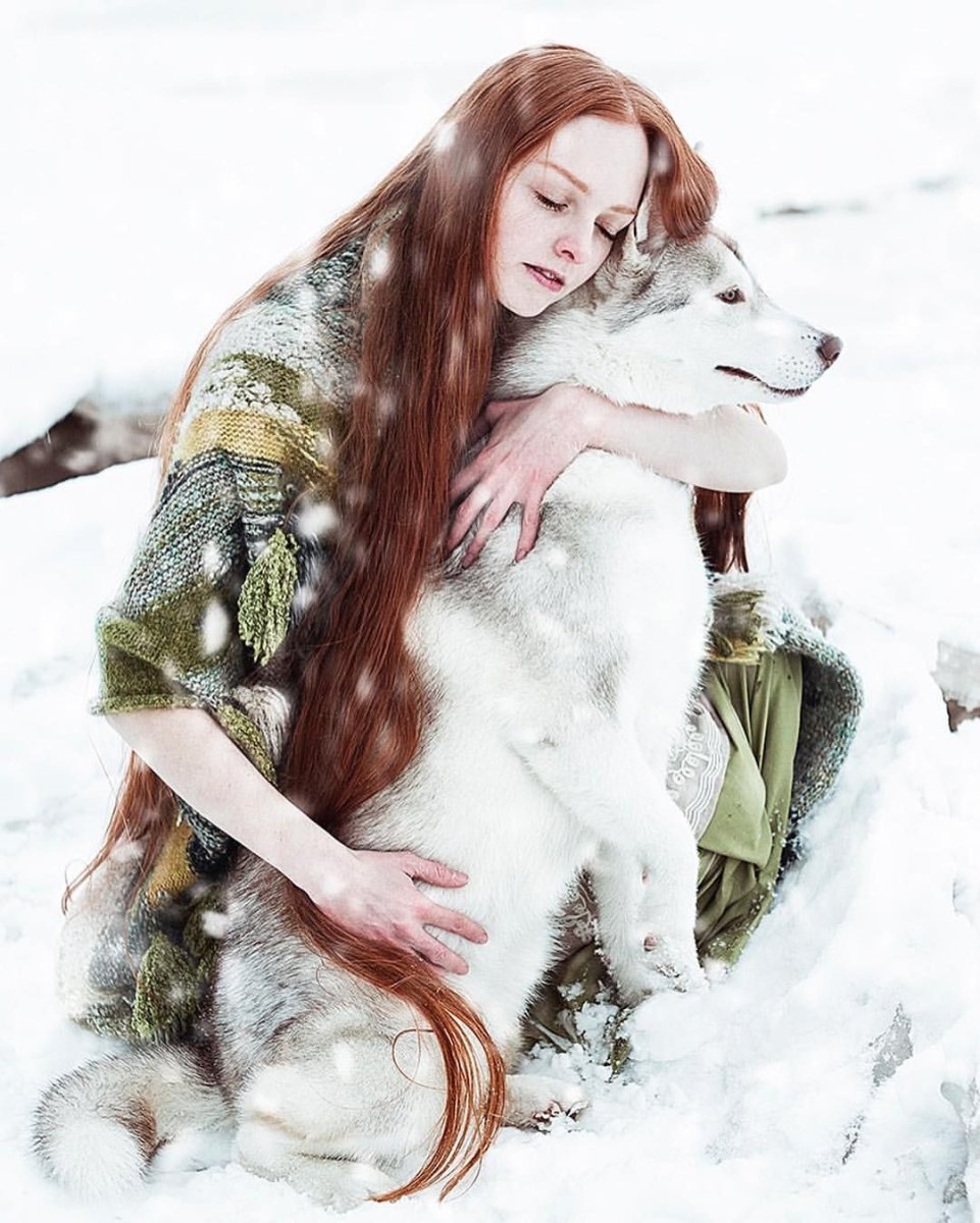 Санса Старк и волчица леди