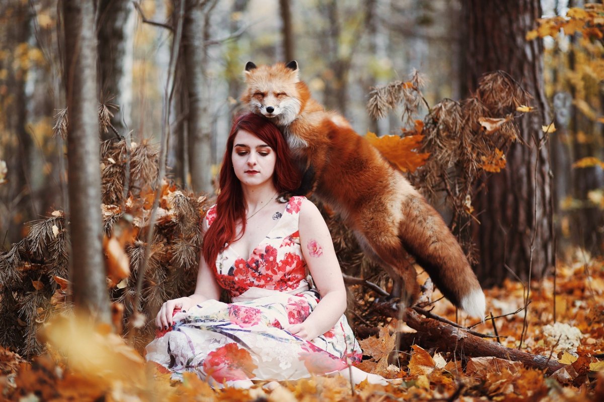 Девушка лиса осень