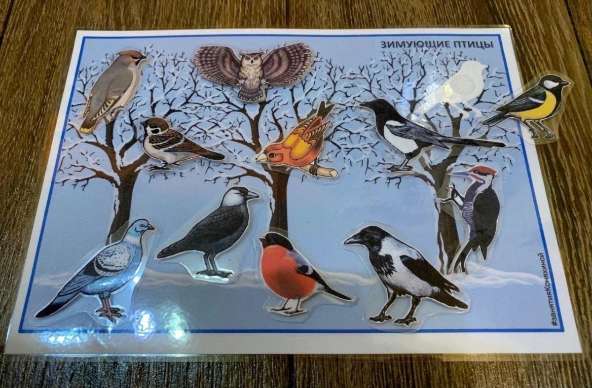 Плакат на тему перелетные и зимующие птицы