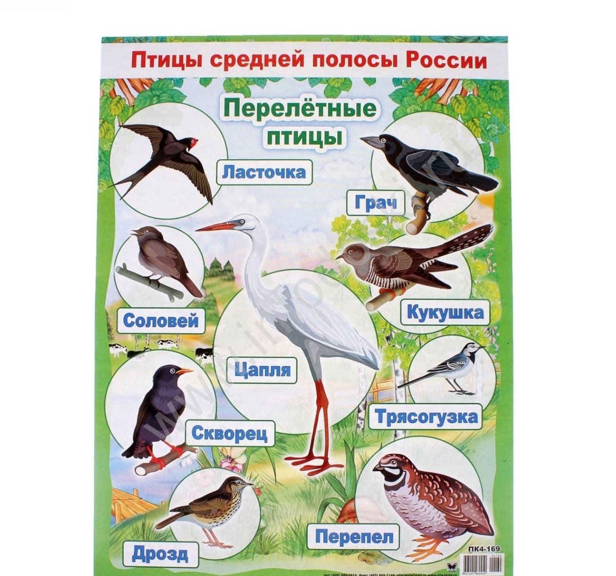 Плакат. Перелетные птицы.