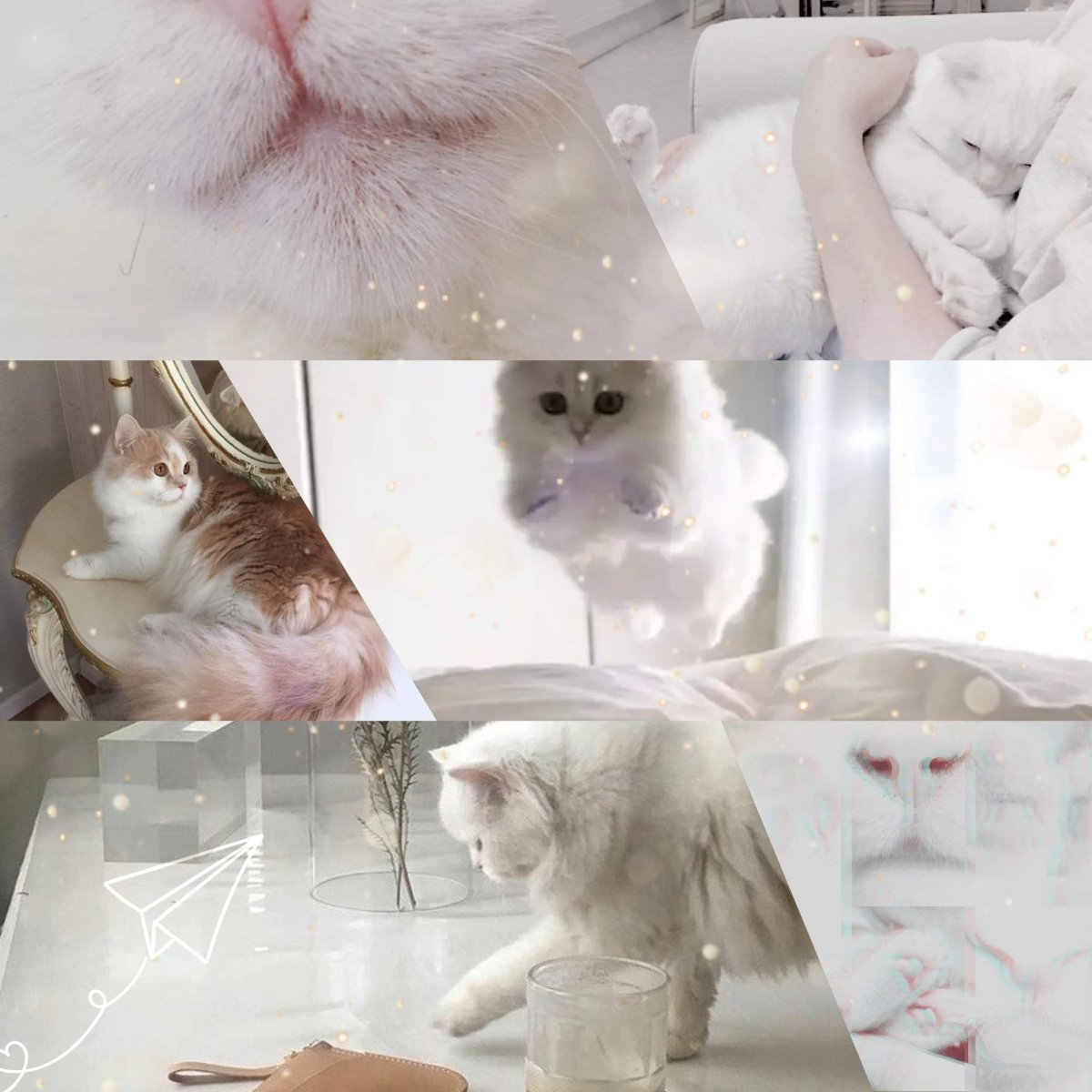 Котята Эстетика