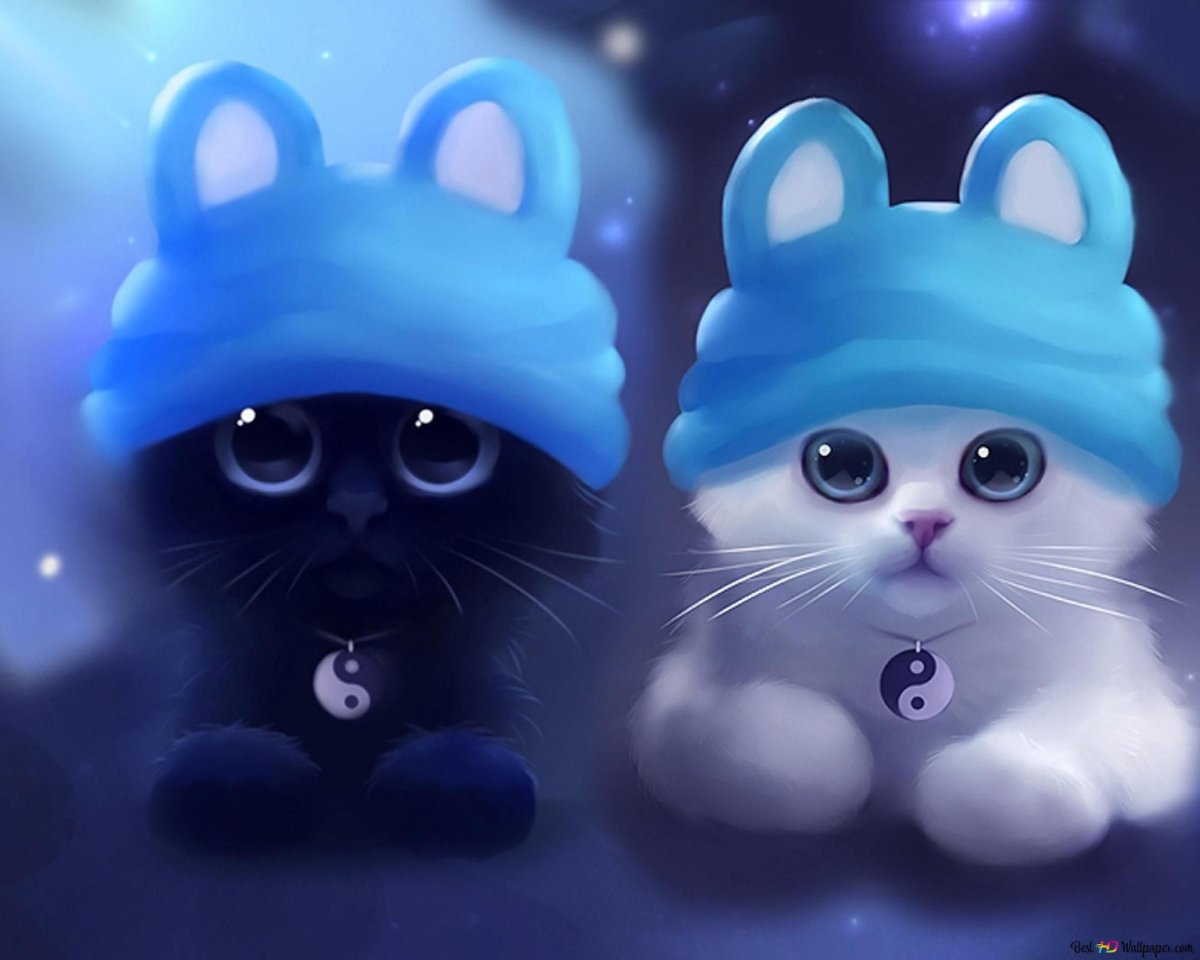 Котенок в шапочке