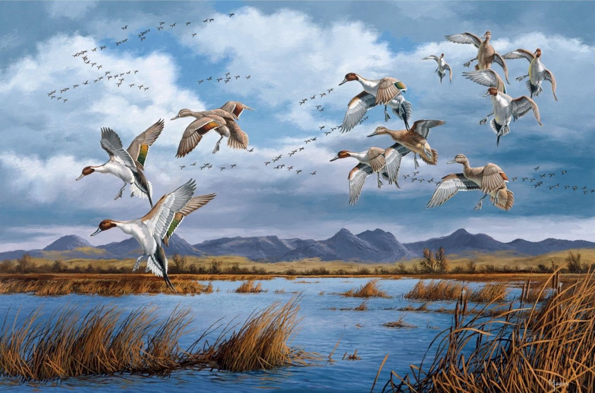 Художник Давид Маасс