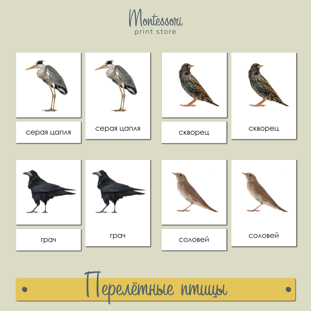 Карточки Монтессори птицы