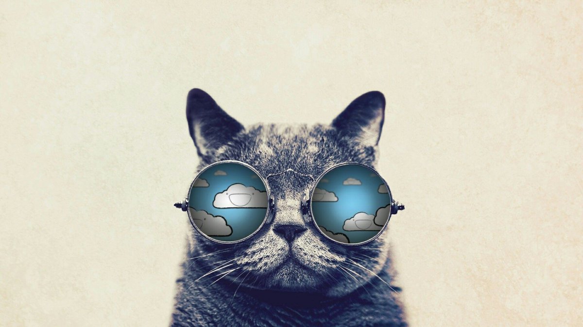 Модный кот в очках