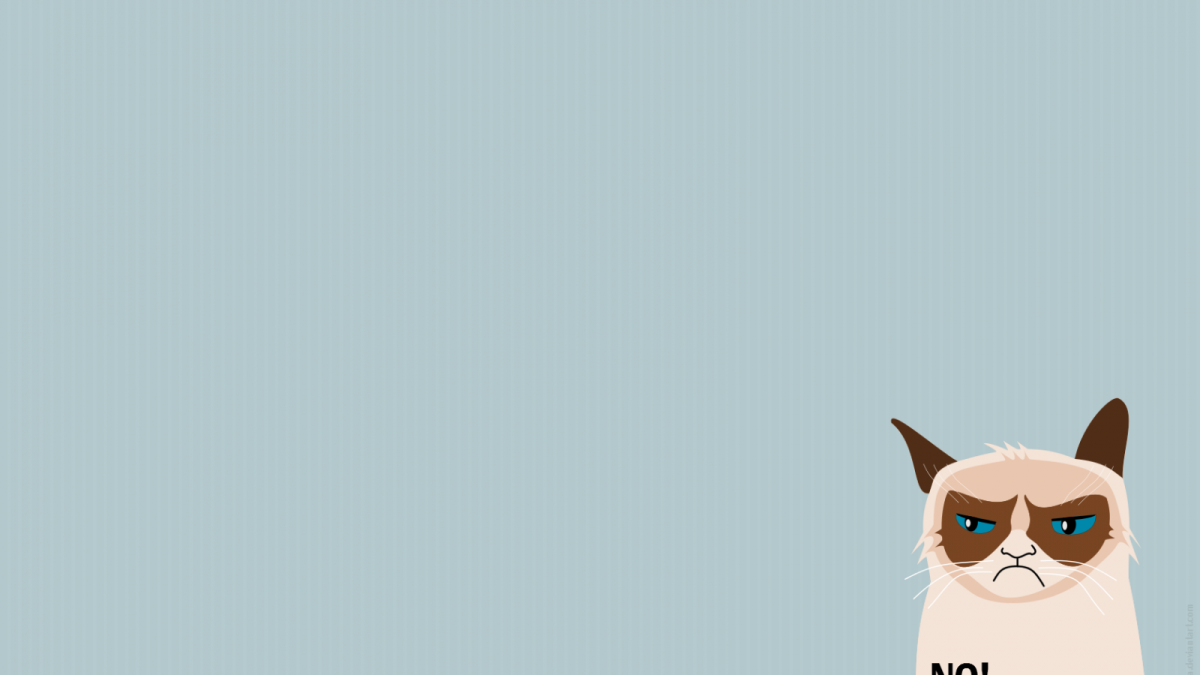 Кошка Минимализм