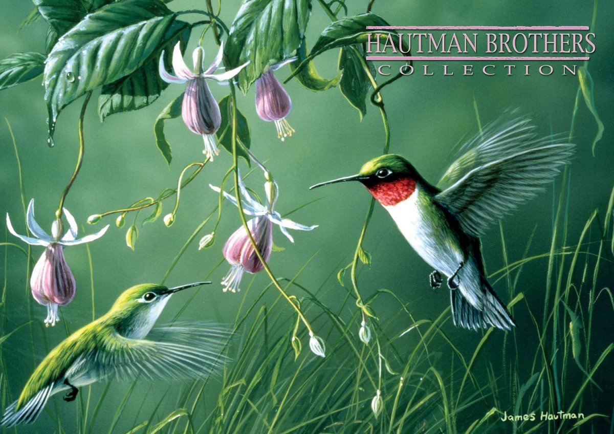 Пернатый мир. Художник Джеймс Хаутман (James Hautman (Jim)).