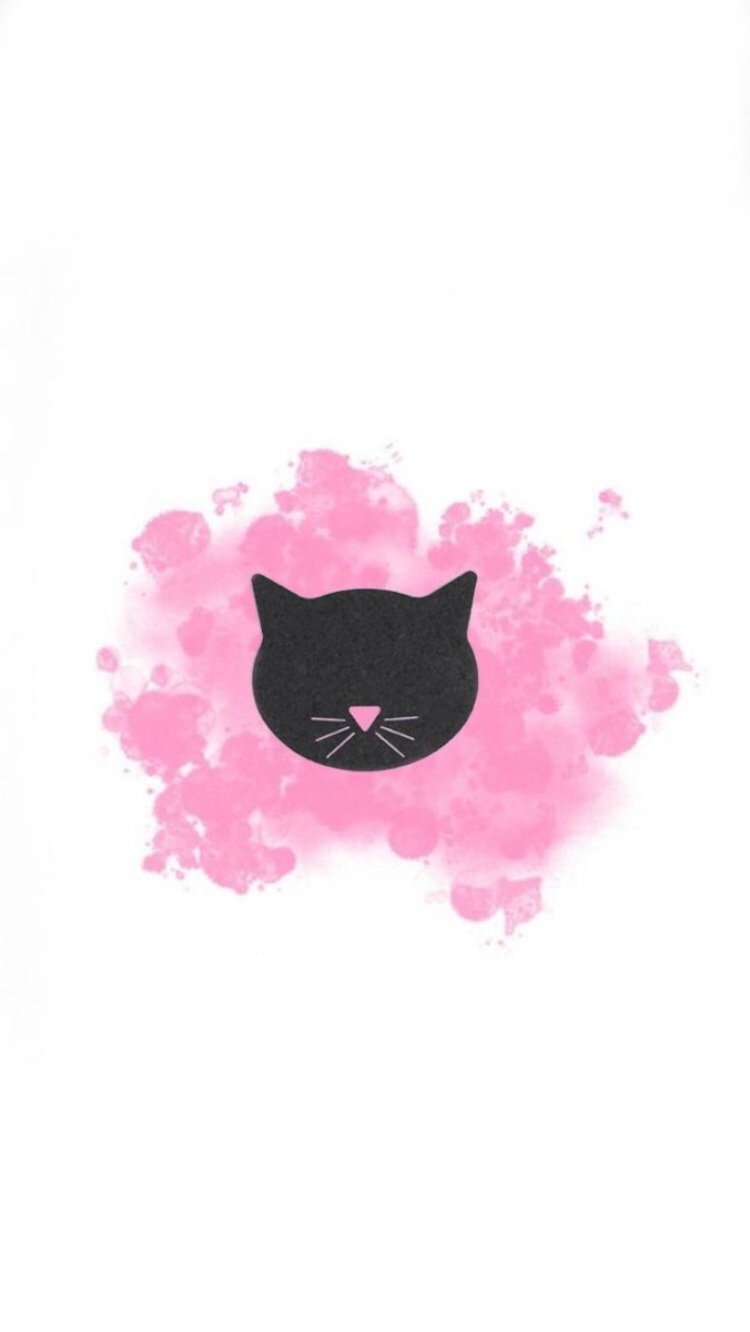 Актуальное кота