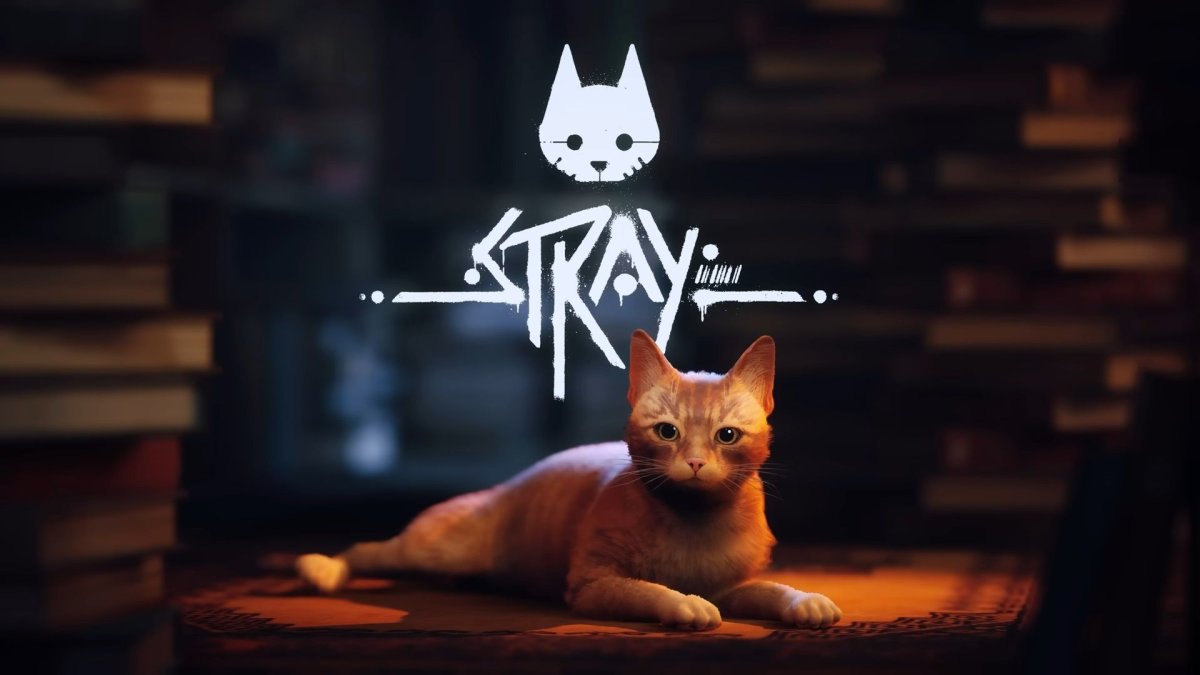 Stray Cat game 2022