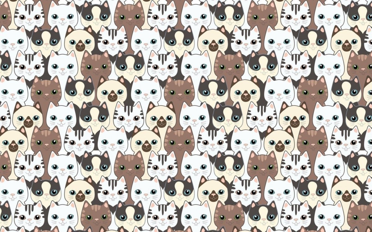 Принт кошки