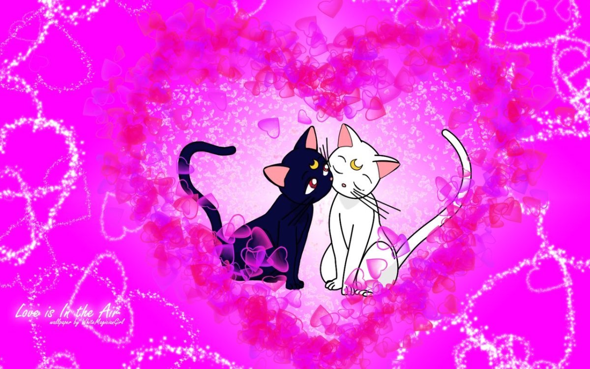 Аниме котики