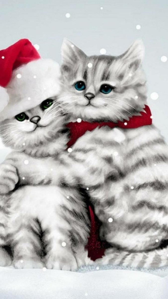 Котик зимой новый год
