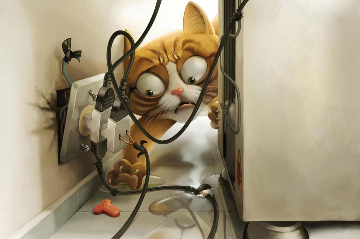 Мультяшные коты