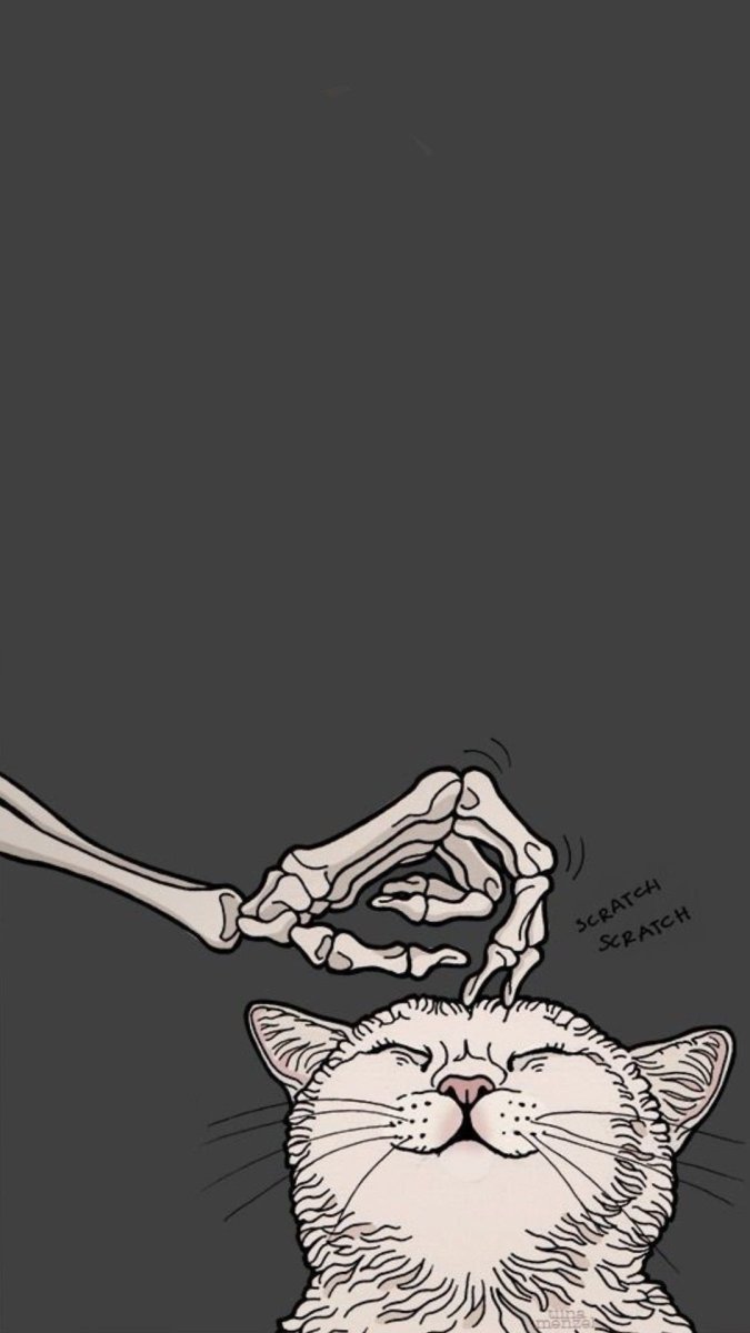 Классные обои с котами