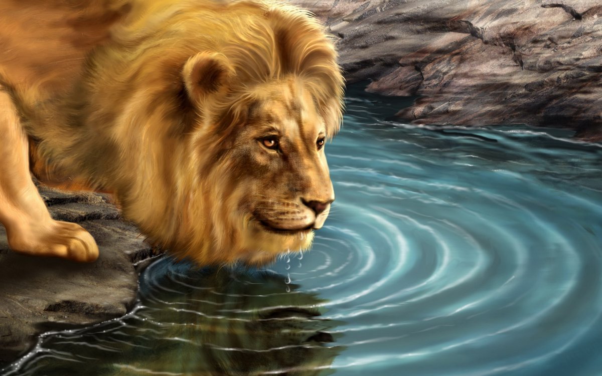 Лев в реке