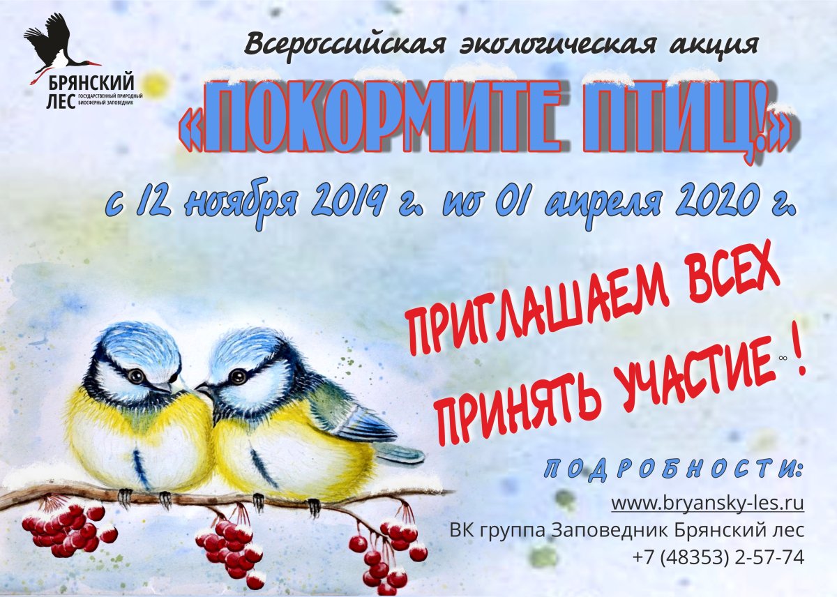 Акция птицы