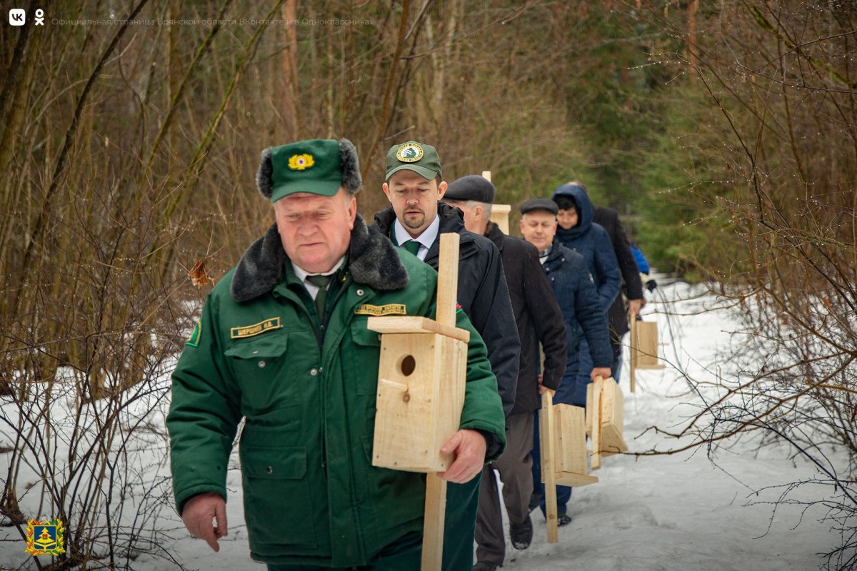 Брянск университет лесного хозяйства