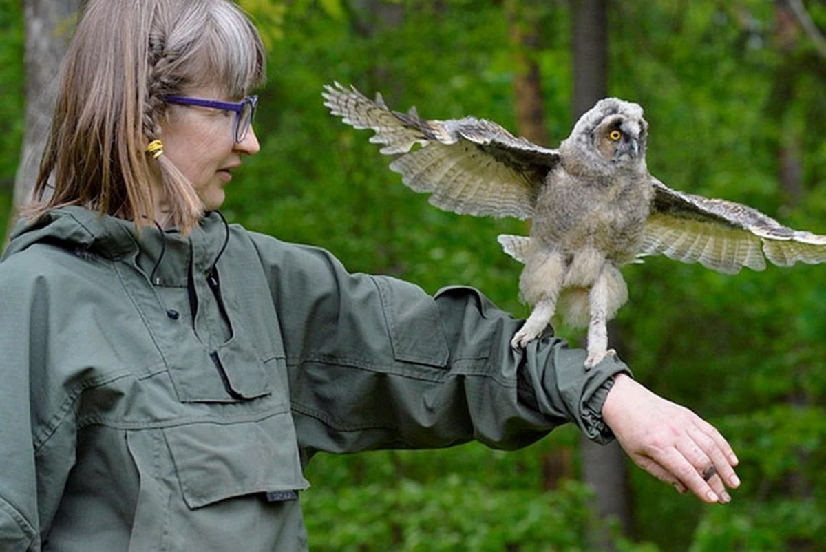 Птицы заповедника Брянский лес