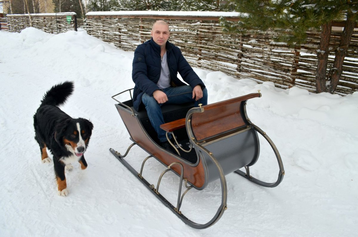 Сани выездные для лошадей