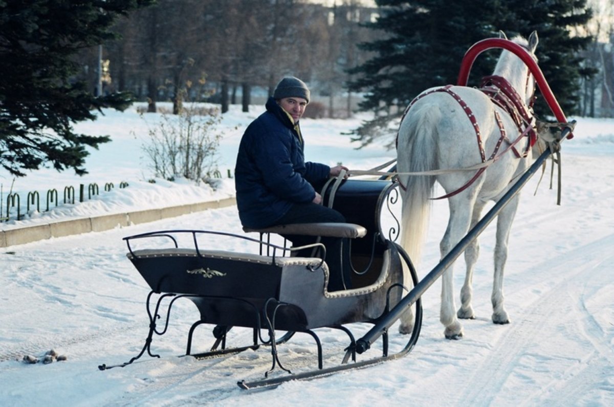 Сани гужевые