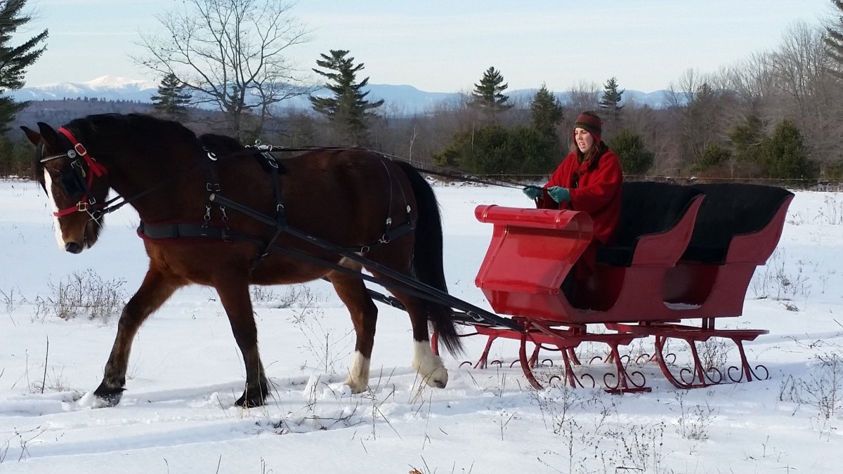 Легкие сани для лошади