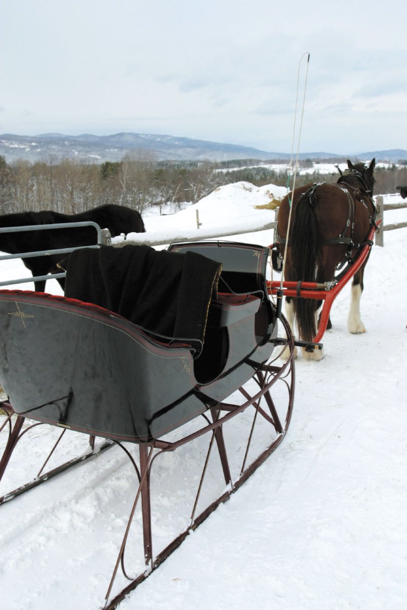 Сани конные металлические