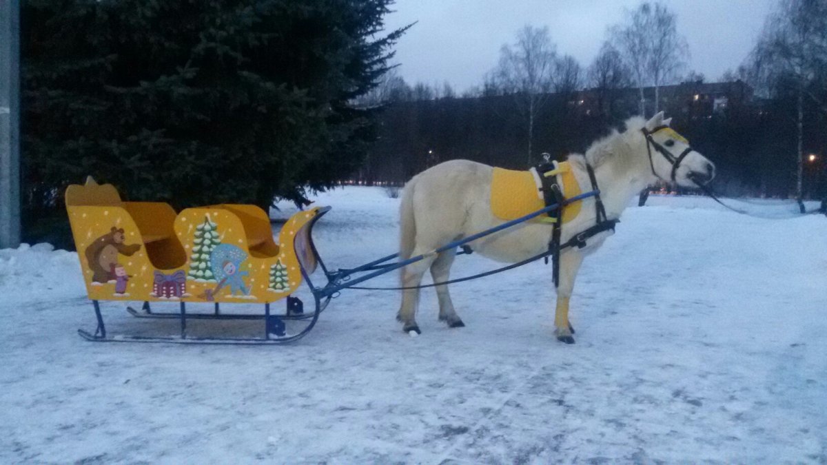 Сани с оглоблями