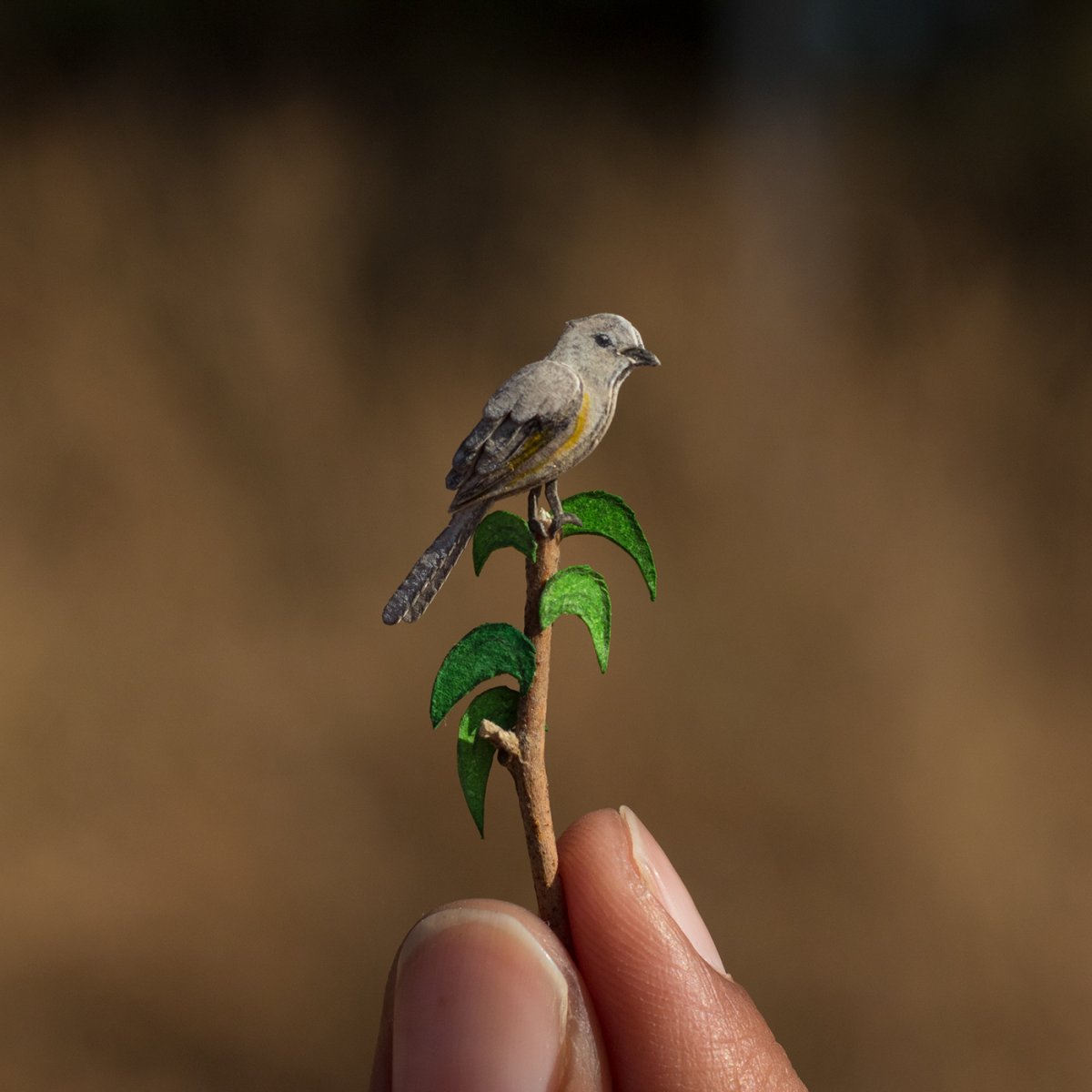 Очень маленькие п то чки