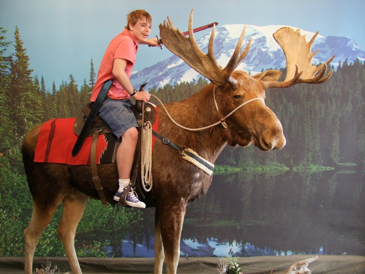 Езда на оленях верхом