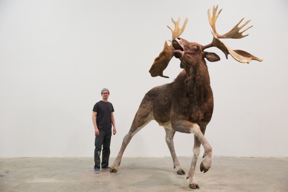 Европейский большерогий олень