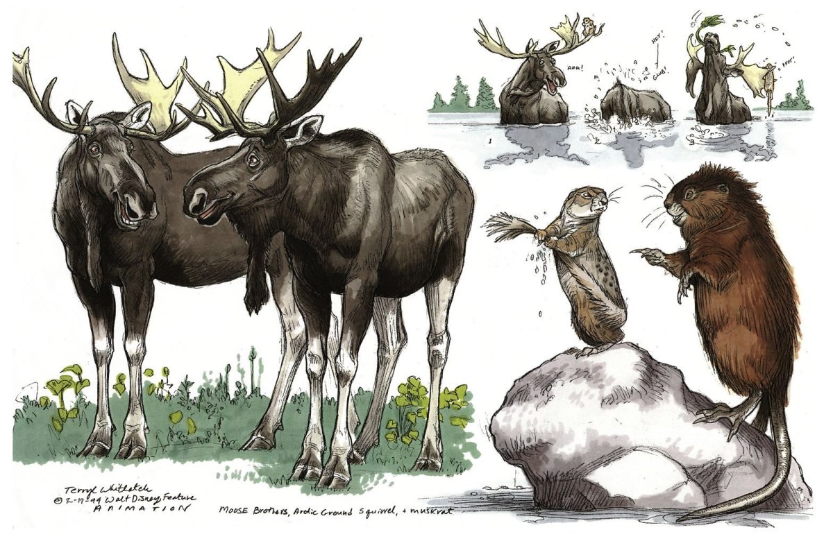 Лось и лосиха рисунок