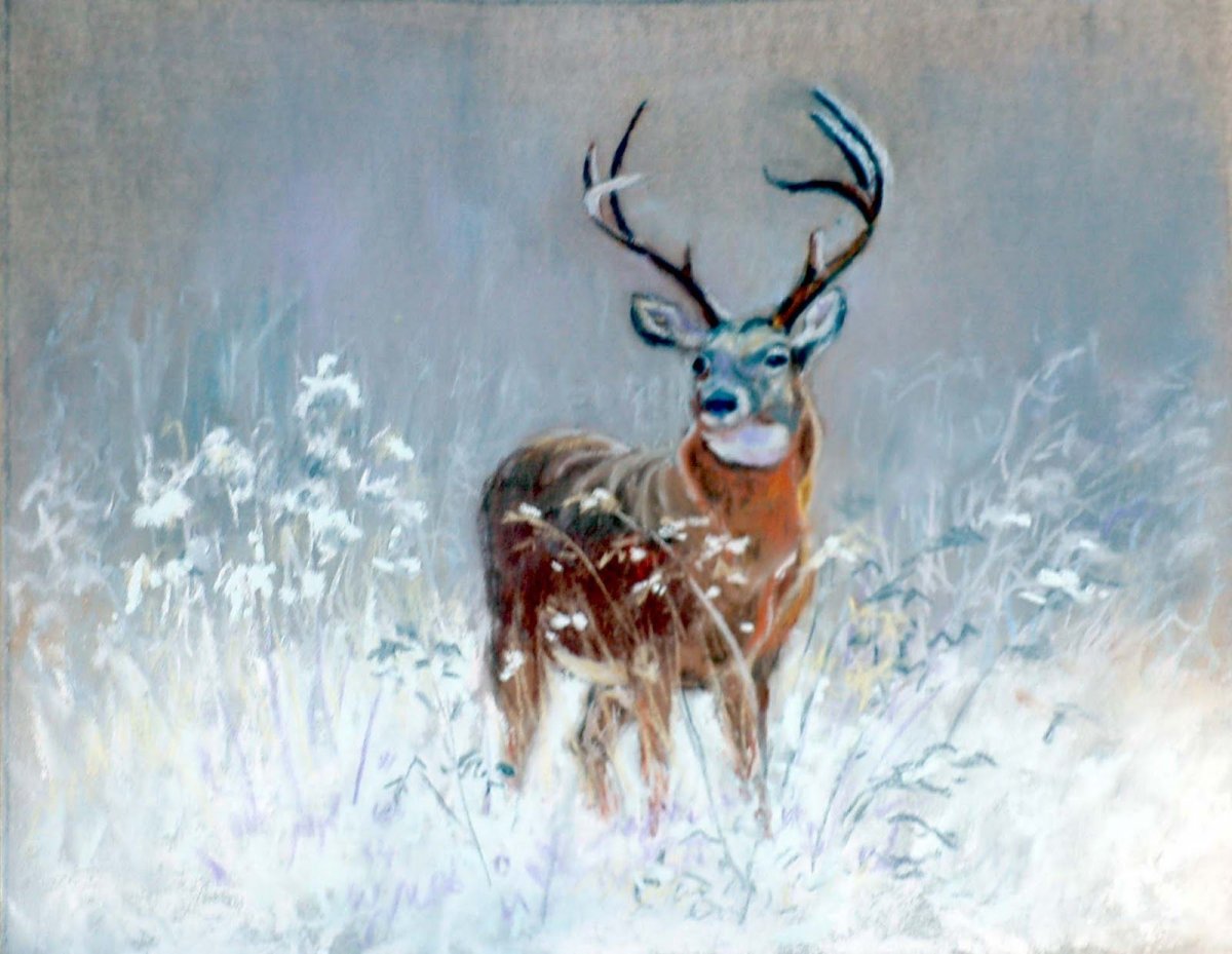 Северный олень гризайль