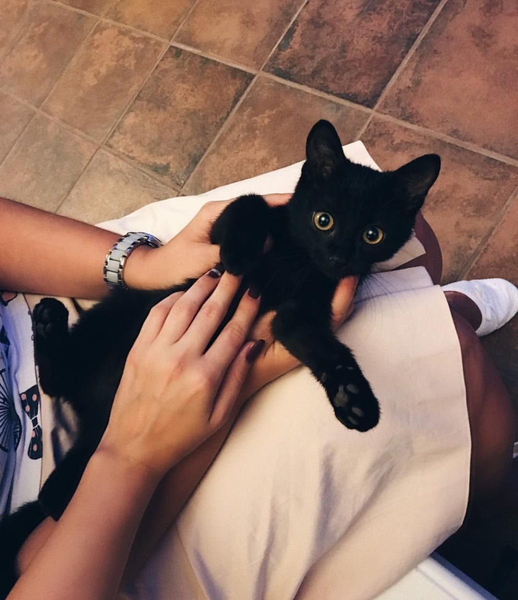 Селфи девушки с котом черным