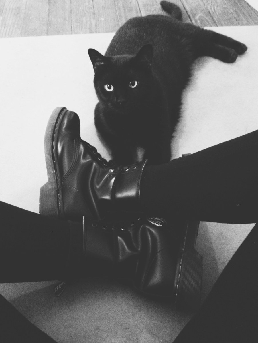 Парень с черной кошкой