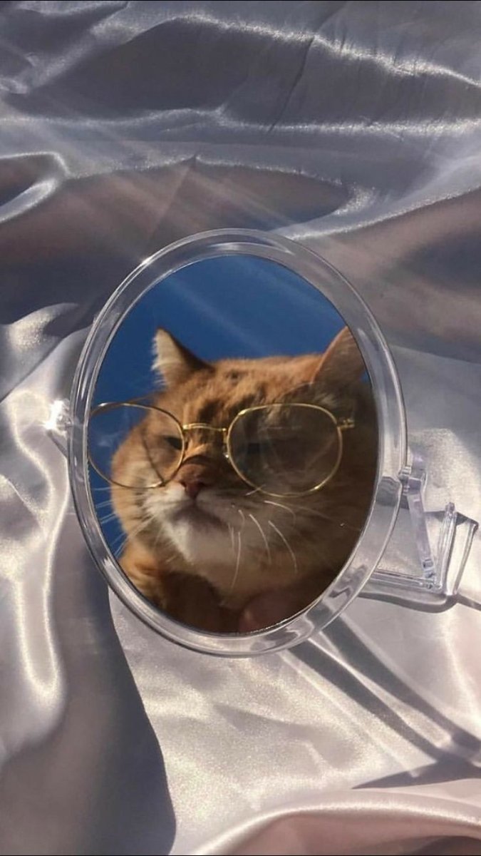 Кошка в очках Эстетика