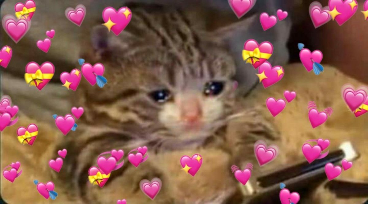 Плачущий котик с сердечками