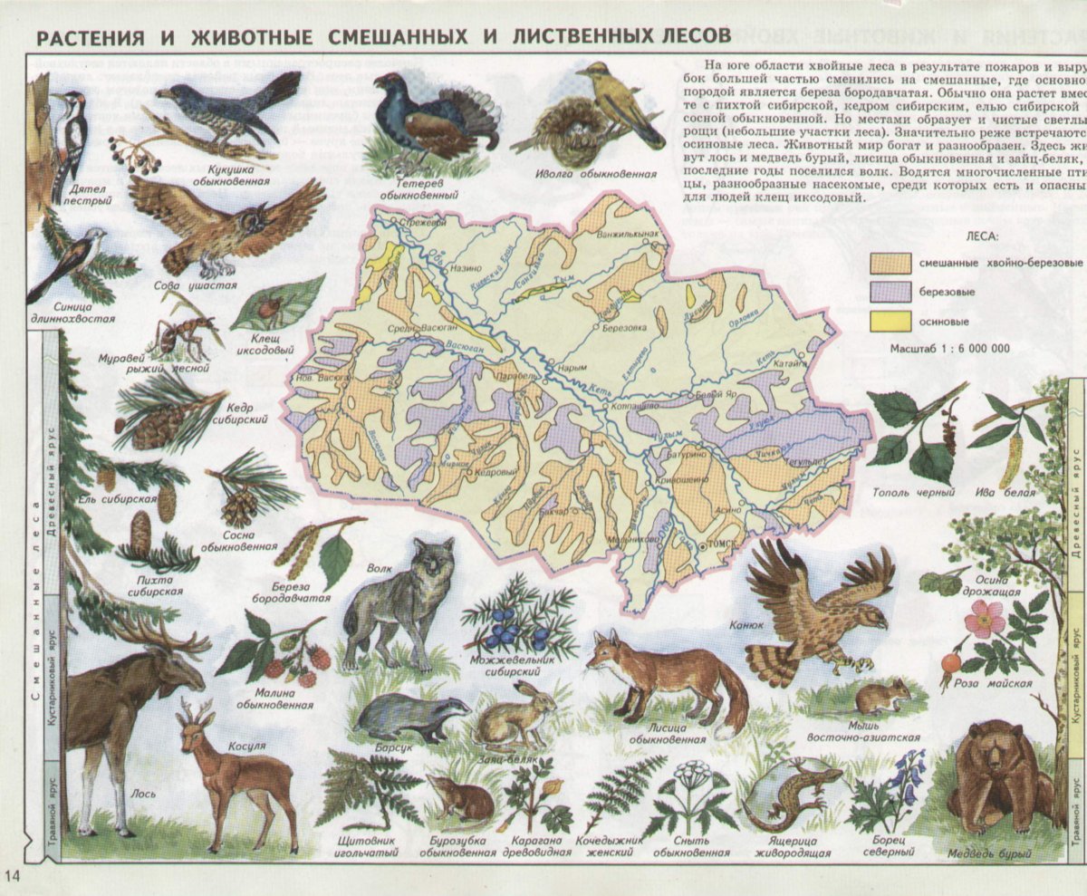 Животный мир Новосибирской области карта