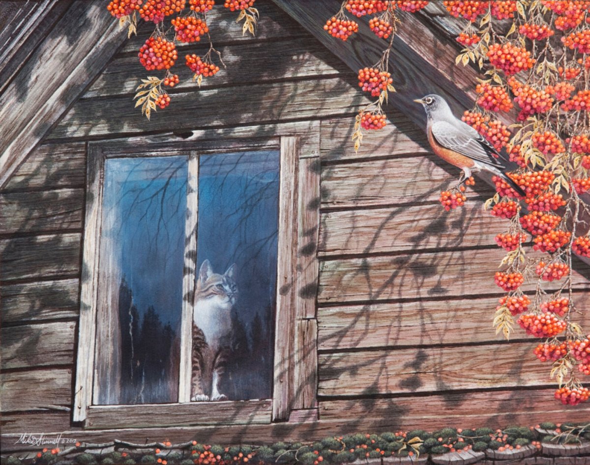 Mike Stinnett Art птицы