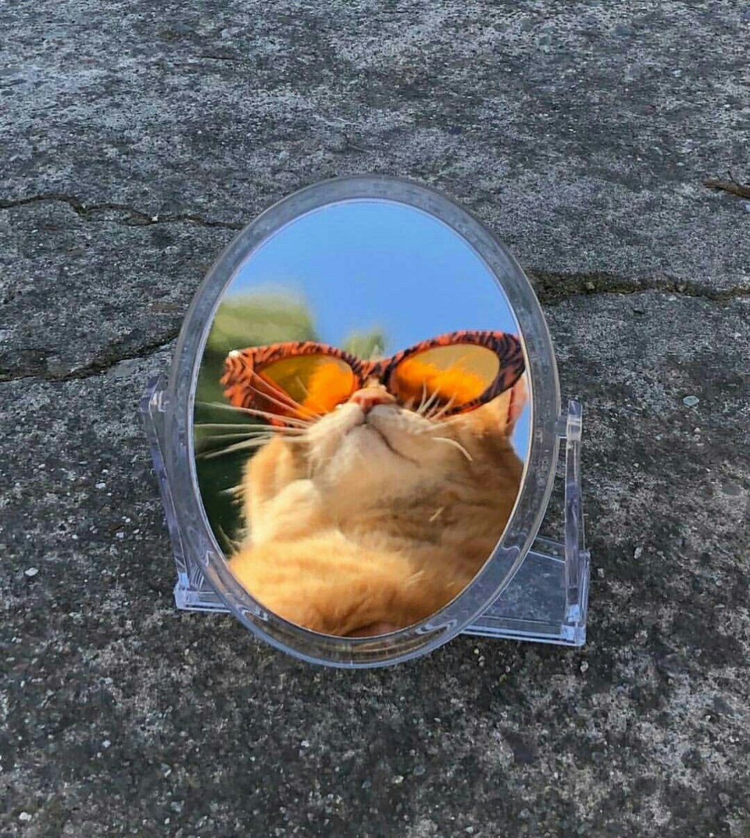 Зеркало "котик"