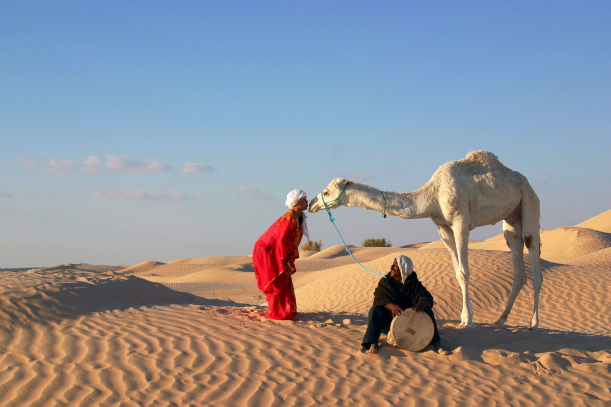 Человек на верблюде