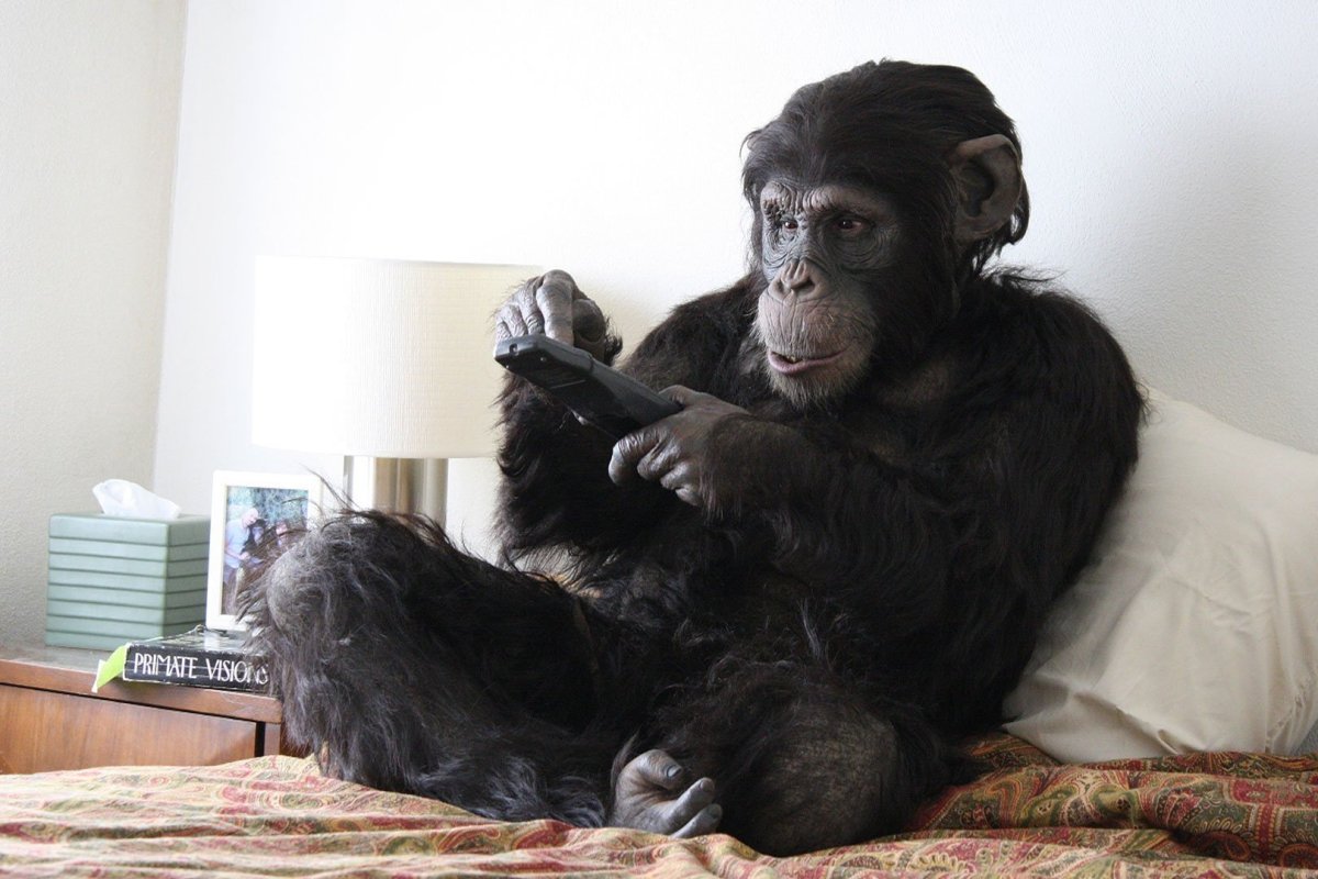 Обезьянка на диване