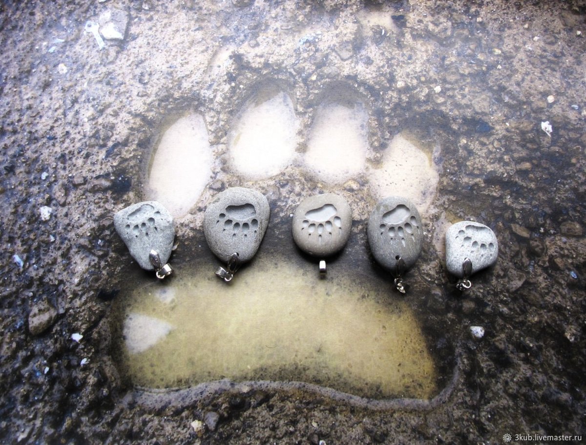 Следы медведя на траве