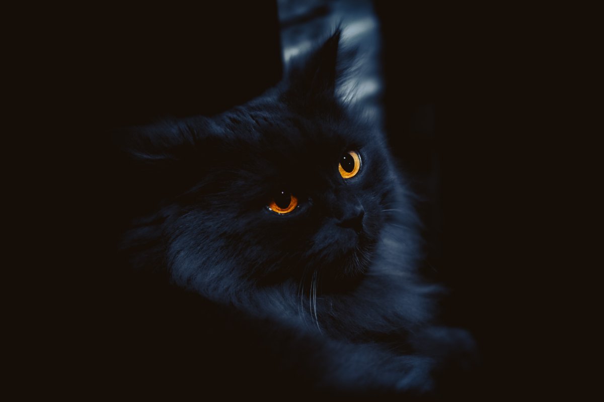 Темные однотонные обои на планшет